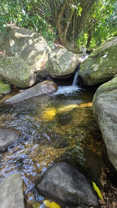 CACHOEIRA DO RONCADOR
